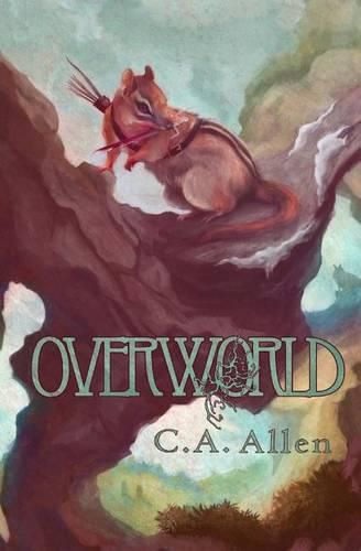 Cover image for Overworld