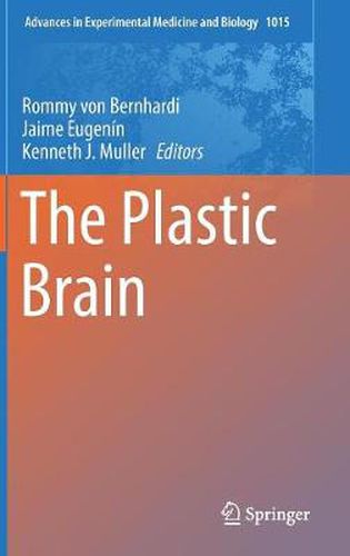 Cover image for The Plastic Brain