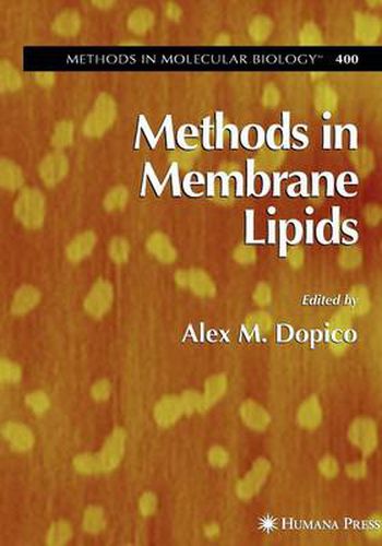 Cover image for Methods in Membrane Lipids