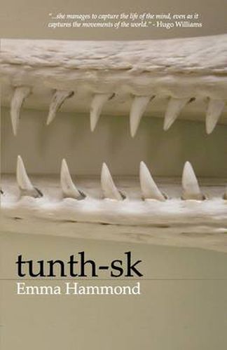 Cover image for Tunth-sk