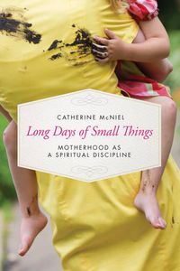Cover image for Long Days of Small Things