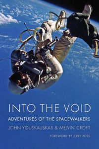 Cover image for Into the Void