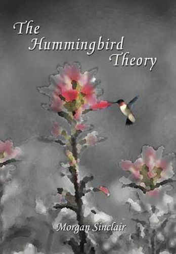 Cover image for The Hummingbird Theory