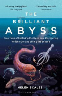 Cover image for The Brilliant Abyss: True Tales of Exploring the Deep Sea, Discovering Hidden Life and Selling the Seabed