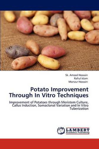 Cover image for Potato Improvement Through In Vitro Techniques