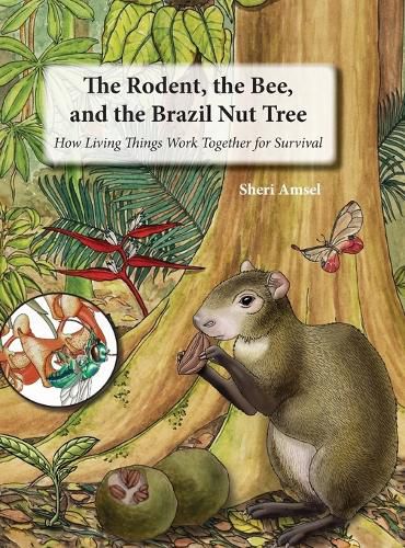 Cover image for The Rodent, the Bee, and the Brazil Nut Tree: How Living Things Work Together for Survival