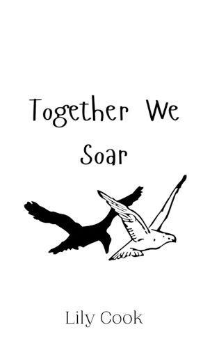 Cover image for Together We Soar