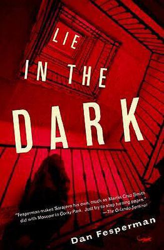 Cover image for Lie in the Dark