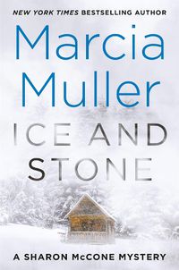 Cover image for Ice and Stone