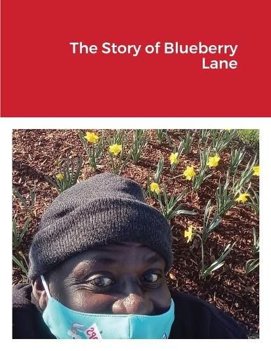 Cover image for The Story of Blueberry Lane