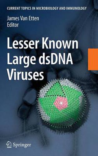 Cover image for Lesser Known Large dsDNA Viruses