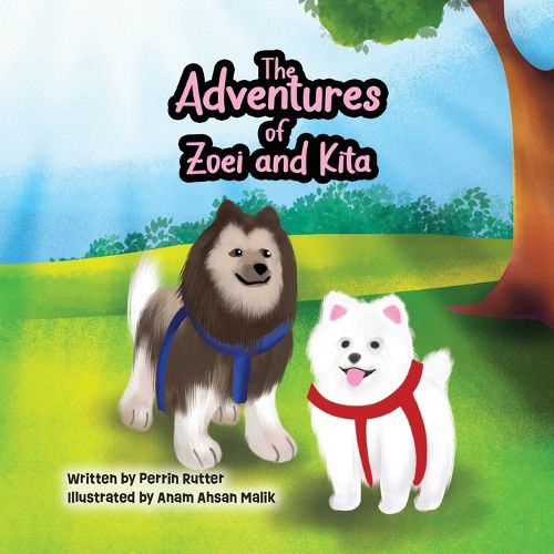 Cover image for The Adventures of Zoei and Kita