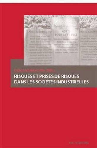 Cover image for Risques Et Prises de Risques Dans Les Societes Industrielles
