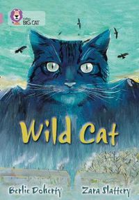 Cover image for Wild Cat: Band 18/Pearl