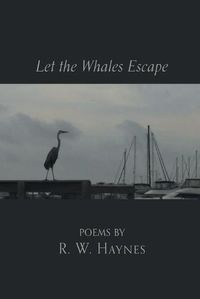 Cover image for Let the Whales Escape