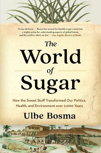 Cover image for The World of Sugar