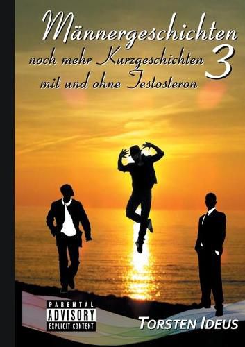 Cover image for Mannergeschichten 3: noch mehr Kurzgeschichten mit und ohne Testosteron