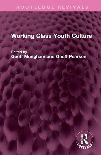 Cover image for Working Class Youth Culture