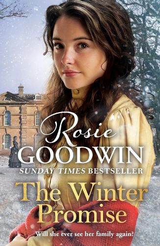 Cover image for The Winter Promise: A perfect cosy Victorian saga from the Sunday Times bestselling author