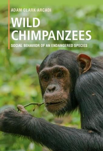 Cover image for Wild Chimpanzees: Social Behavior of an Endangered Species