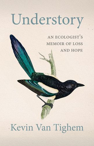 Cover image for Understory