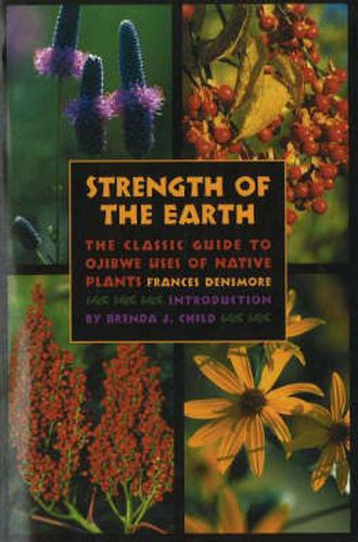 Cover image for Strength of the Earth: The Classic Guide to Ojibwe Uses of Native Plants