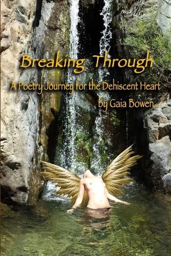 Cover image for Breaking Through