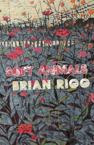 Cover image for Soft Animals