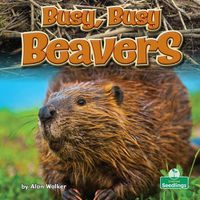 Cover image for Busy, Busy Beavers