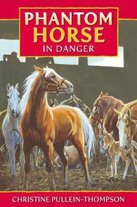 Cover image for Phantom Horse in Danger