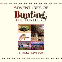 Cover image for Adventures of Bunting, the Turtle