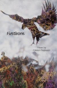 Cover image for Firstborn