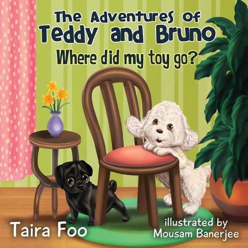 Cover image for Where did my toy go ?