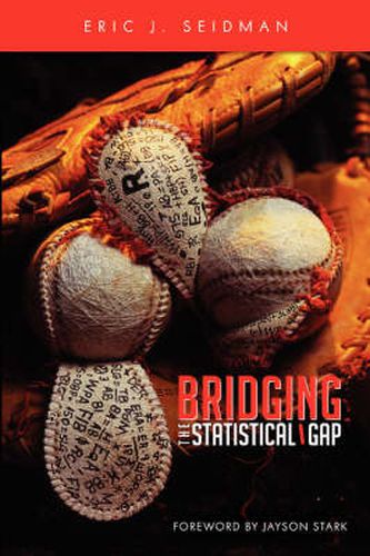 Cover image for Bridging the Statistical Gap