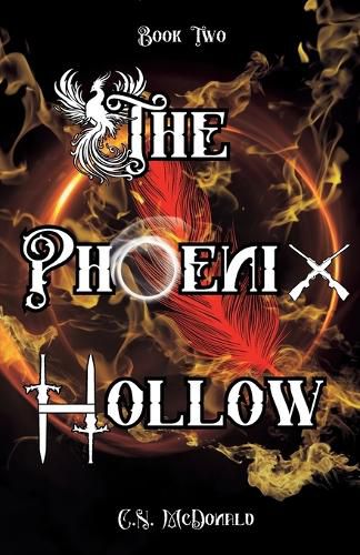 Cover image for The Phoenix Hollow