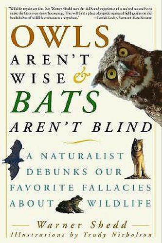 Cover image for Owls Aren't Wise, Bats Aren'T