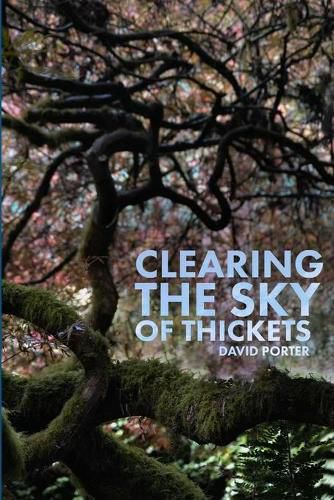 Cover image for Clearing the Sky of Thickets