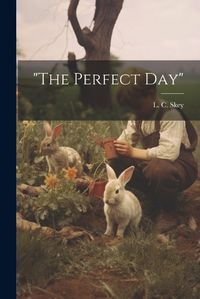 Cover image for "The Perfect Day"