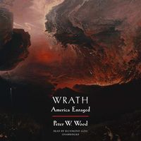 Cover image for Wrath: America Enraged