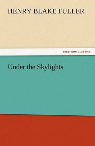 Cover image for Under the Skylights