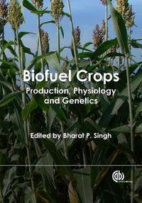 Cover image for Biofuel Crops: Production, Physiology and Genetics