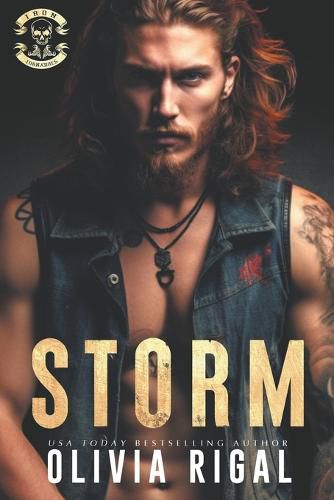 Cover image for Storm