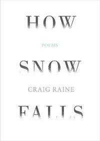 Cover image for How Snow Falls