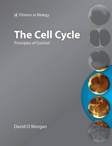 The Cell Cycle: Principles of Control