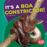 Cover image for It's a Boa Constrictor!