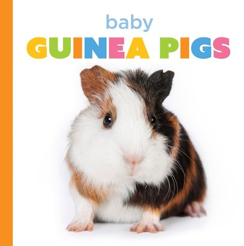 Cover image for Baby Guinea Pigs