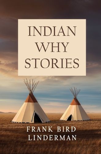 Cover image for Indian Why Stories