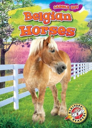Cover image for Belgian Horses
