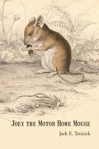 Cover image for Joey the Motor Home Mouse