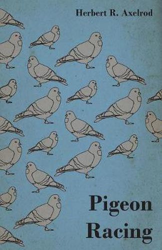 Cover image for Pigeon Racing